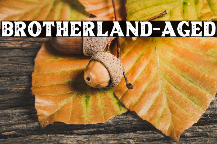 Brotherland-Aged Example 1