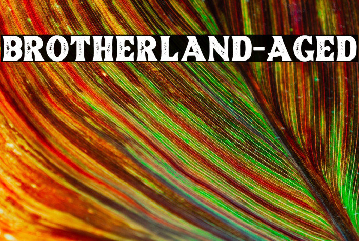 Brotherland-Aged Example 2