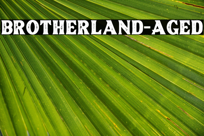 Brotherland-Aged Example 3