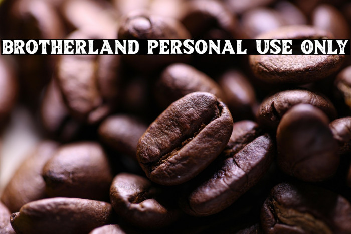 Brotherland Personal Use Only Example 2