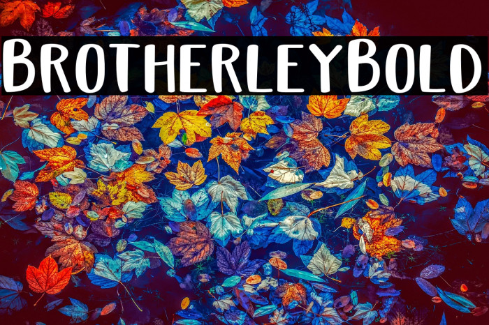 Brotherley-Bold Example 2
