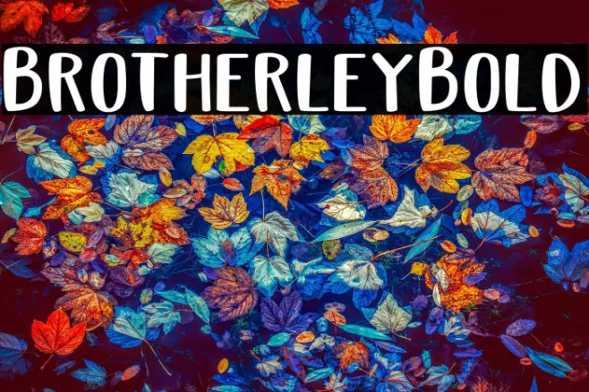 Brotherley-Bold Example 2