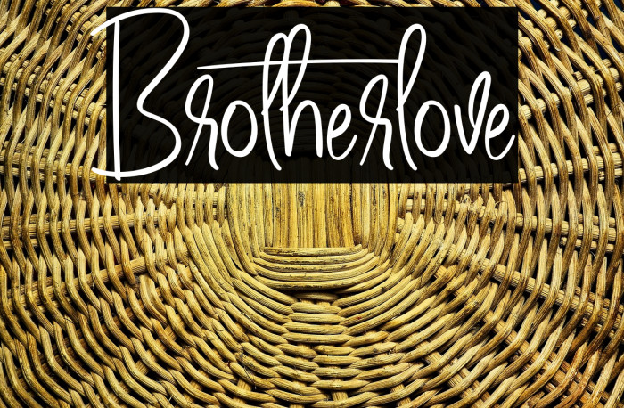 Brotherlove Example 1