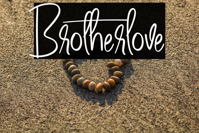 Brotherlove Example 2