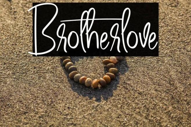 Brotherlove Example 2