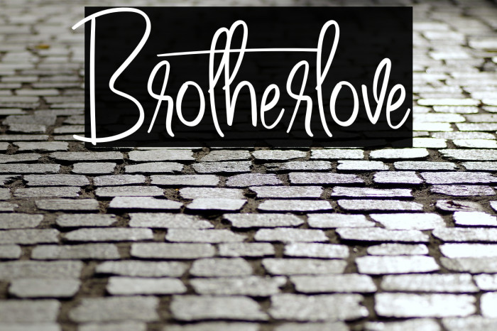 Brotherlove Example 3