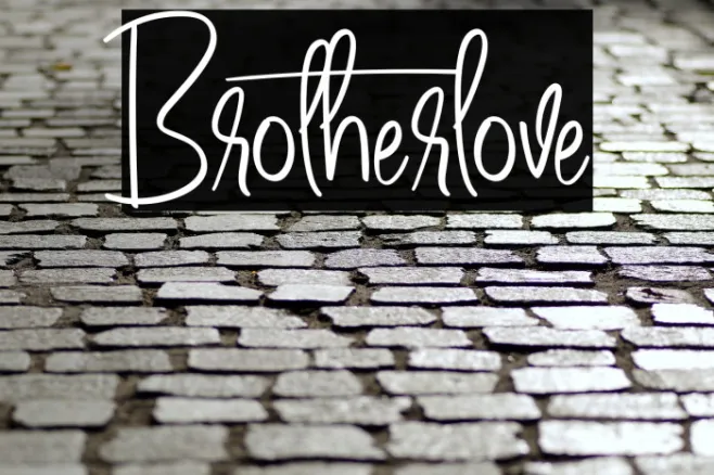 Brotherlove Example 3