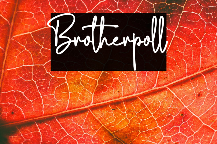 Brotherpoll Example 2