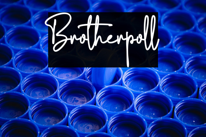 Brotherpoll Example 3