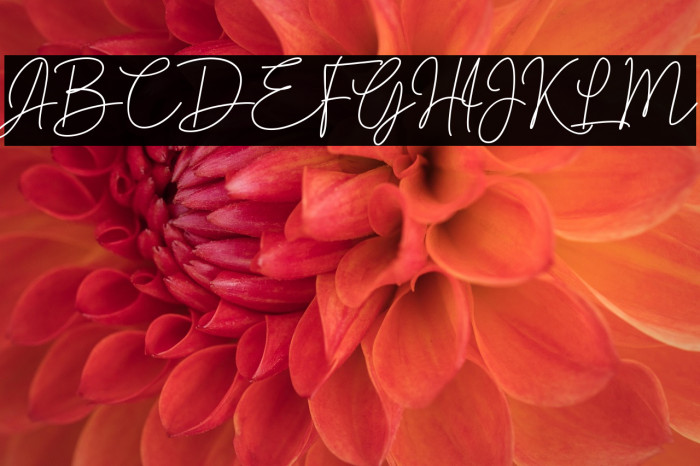 Brotherside Signature Example 1