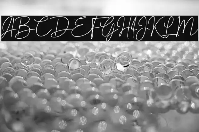 Brotherside Signature Font examples