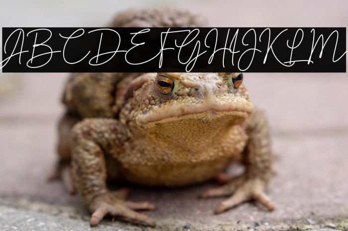 Brotherside Signature Example 1