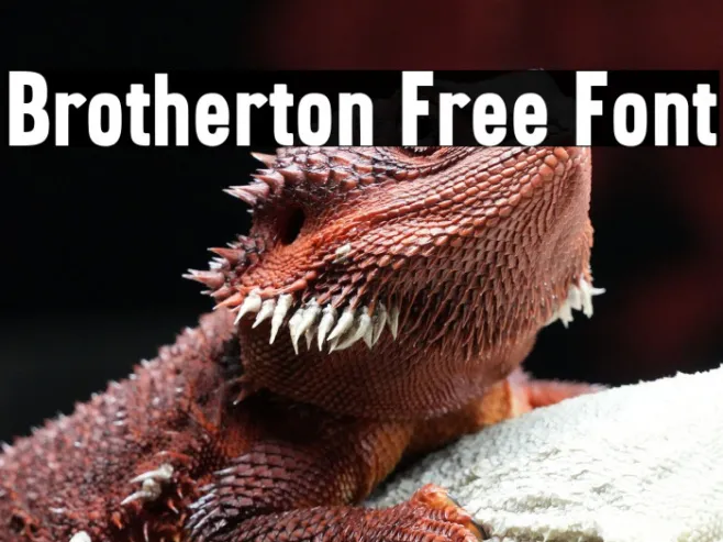 Brotherton Free Font Example 2
