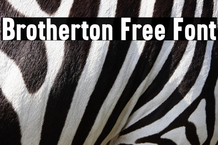 Brotherton Free Font Example 3