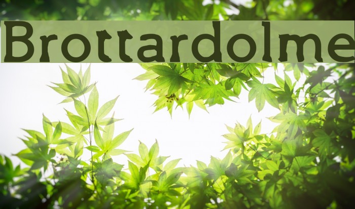Brottardolme Font examples