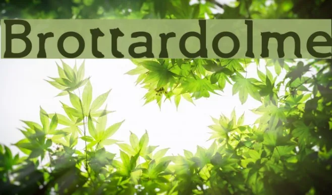Brottardolme Example 1