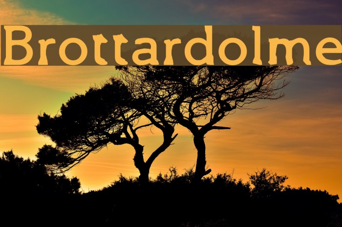 Brottardolme Font examples