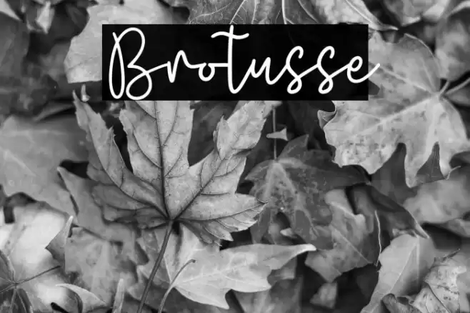 Brotusse Caratteri examples