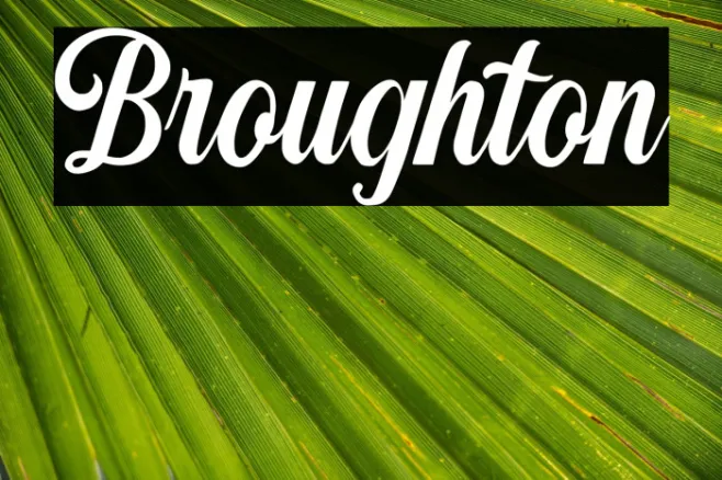 Broughton Example 3