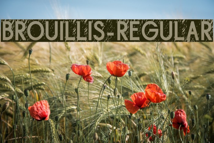 Brouillis-Regular Example 2