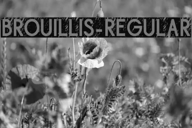 Brouillis-Regular Font examples
