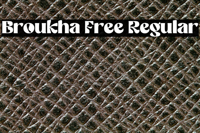Broukha Free Regular Example 2