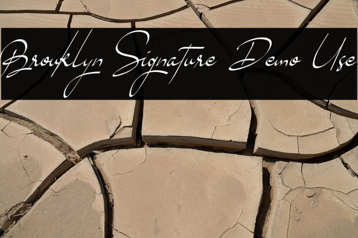 Brouklyn Signature Demo Use Example 1