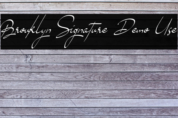 Brouklyn Signature Demo Use Example 2
