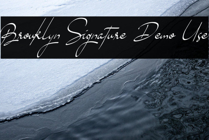 Brouklyn Signature Demo Use Example 3