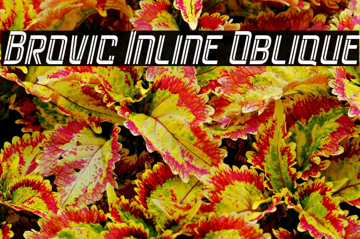 Brovic Inline Oblique Caratteri examples