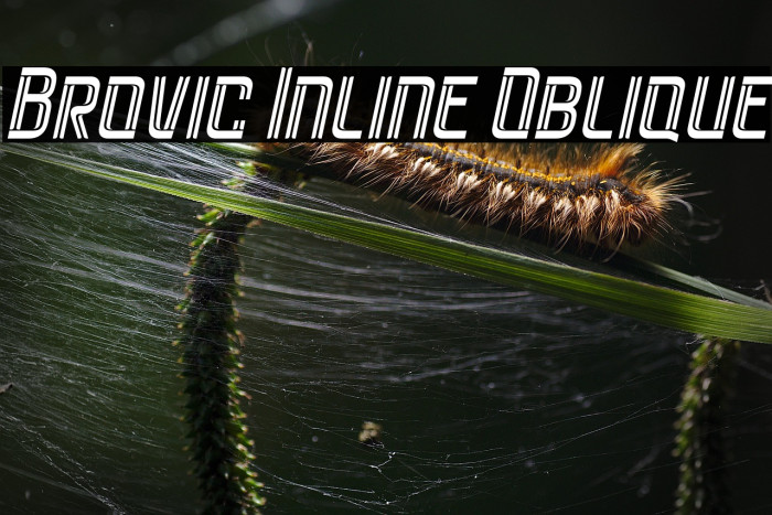 Brovic Inline Oblique Caratteri examples