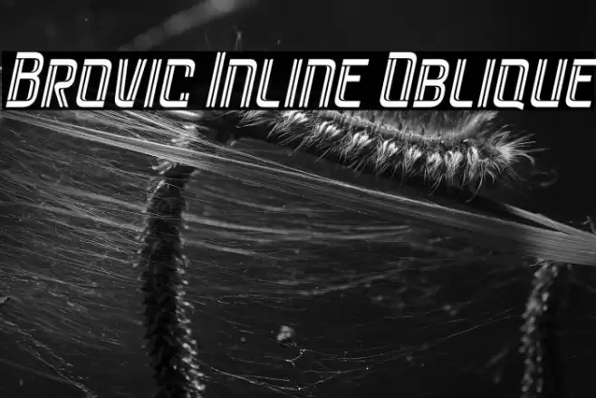 Brovic Inline Oblique 字体 examples
