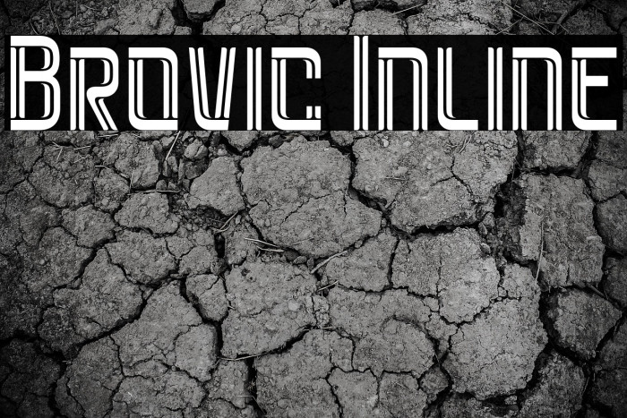 Brovic Inline Example 2