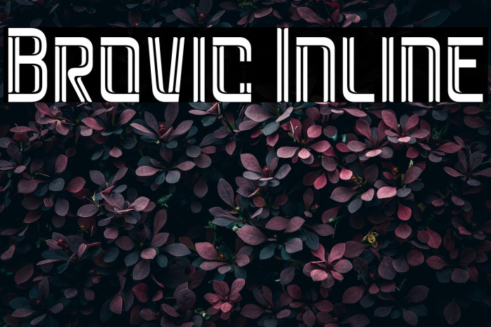 Brovic Inline Example 3