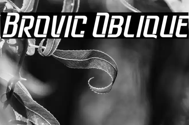 Brovic Oblique Schriftart examples
