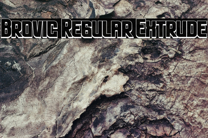Brovic Regular Extrude Caratteri examples
