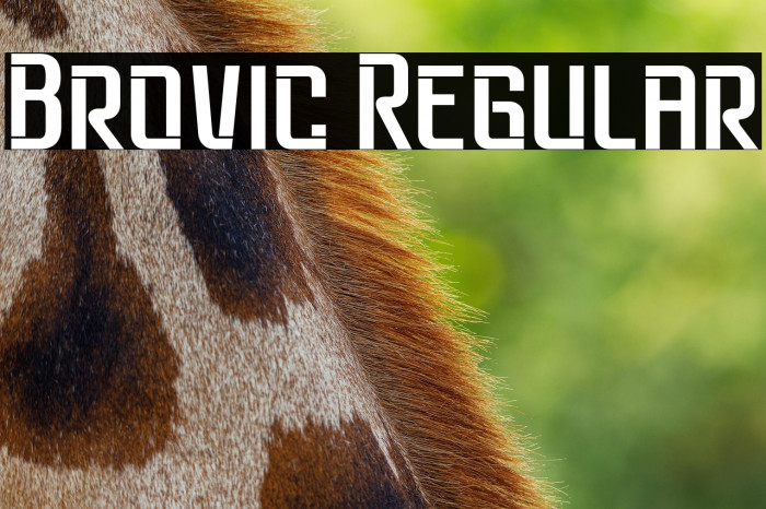 Brovic Regular Example 1