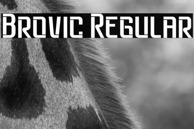 Brovic Regular Schriftart examples