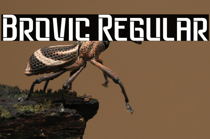 Brovic Regular Example 2