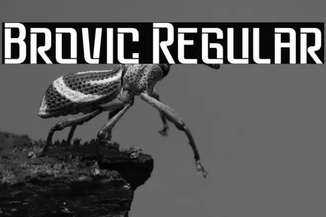 Brovic Regular Schriftart examples