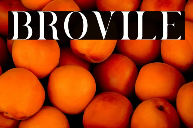 Brovile Example 1