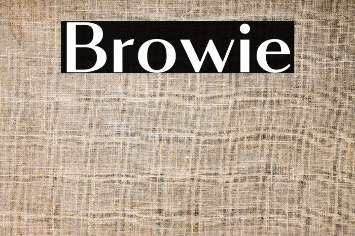 Browie Example 2