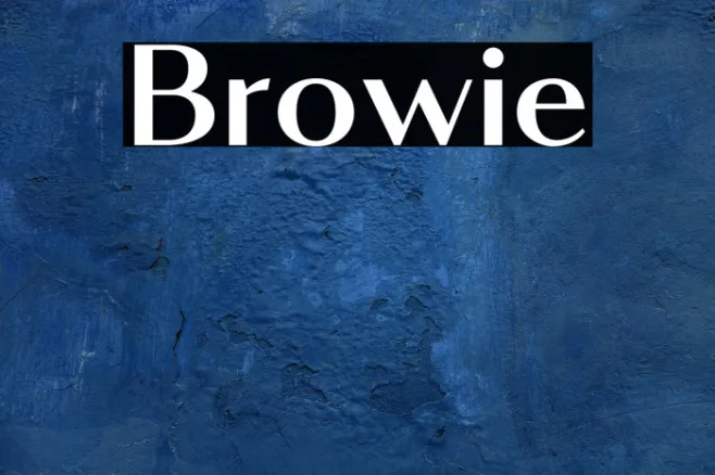Browie Example 3