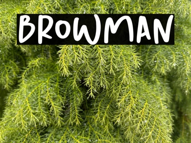 Browman Example 3