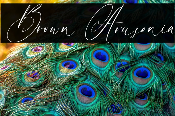 Brown Amsonia Example 2