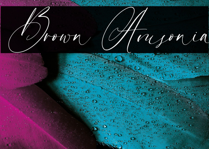 Brown Amsonia Example 3