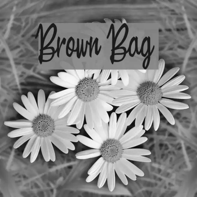 Brown Bag Font examples