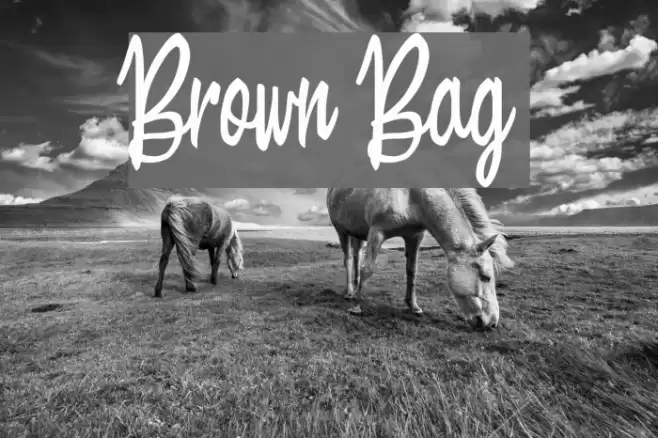 Brown Bag Font examples