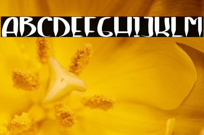 Brown Cake Example 3