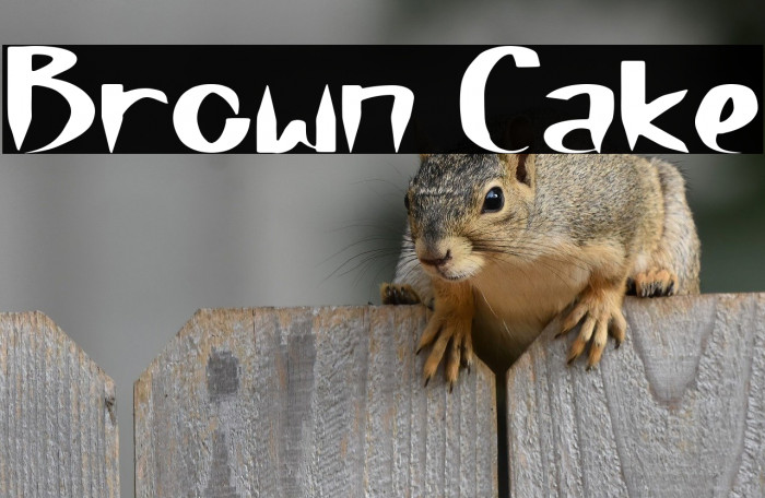 Brown Cake Example 2